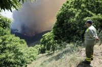 El incendio forestal de Pujerra sigue estabilizado y quedará este miércoles perimetrado en su totalidad