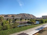 El PP reclama segar las zonas verdes de Logroño "para prevenir la aparición de garrapatas y otros insectos"