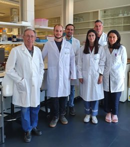 Equipo investigador de la UGR