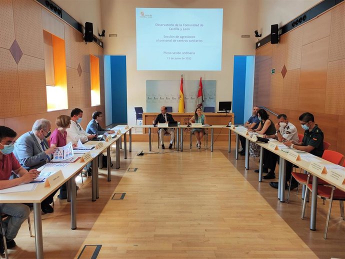 Reunión de la sección de agresiones al personal de centros sanitarios del Observatorio de Castilla y León.