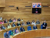 Pleno.- Pontón (BNG) reclama ayudas porque "sobre mucho mes a final de sueldo" y Rueda le afea ser "dócil" con Sánchez