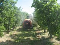 Nuevo decreto para actualizar la regulación de la capacitación de los profesionales y vendedores de fitosanitarios