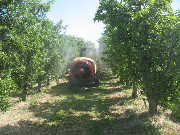 Archivo - Aplicación de productos fitosanitarios
