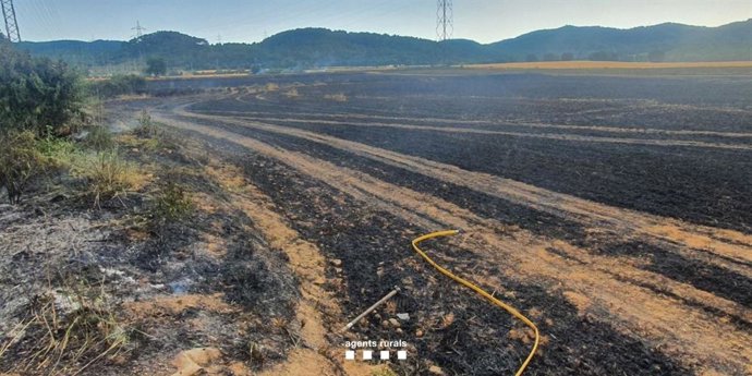 Imatge de l'incendi de Celr (Girona)