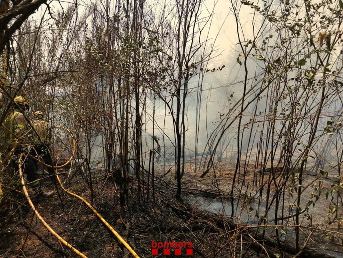 Imagen de archivo de un incendio en La Roca del Valls (Barcelona) el 14 de junio de 2022.