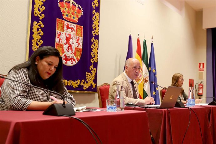 El presidente de la Diputación de Córdoba, Antonio Ruiz, durante el Pleno de la institución provincial.