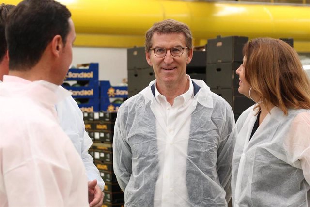 El presidente del PP, Alberto Núñez Feijóo, durante su visita a la  empresa Indasol, donde ha mantenido  un encuentro con empresarios del sector agrícola a 15 de junio del 2022 en El Ejido (Andalucía, Almería)