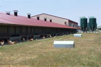 Huevos Guillén recibe el premio internacional 'Mejor Huevo 2022' por su compromiso con el bienestar animal