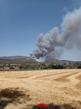 Incendio de vegetación en el pueblo de Baldomar (Lleida)