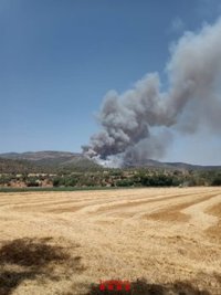 El incendio de vegetación en Artesa de Segre (Lleida) afecta a 17 hectáreas