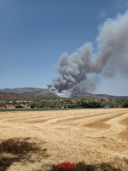 Incendi de vegetació a Artesa de Segre (Lleida)