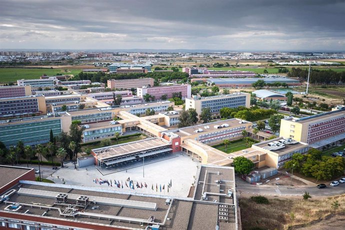 Archivo - Vista aérea del campus Pablo de Olavide.