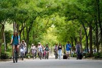 El Parque de María Luisa de Sevilla dispondrá de dos desfibriladores en las plazas de España y América