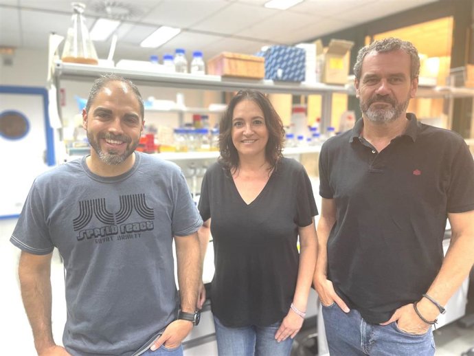 Un equipo del CABD caracteriza la vía de degradación del ibuprofeno en la bacteria MPO218