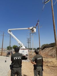 Endesa incorpora nuevos dispositivos para proteger la avifauna en Catalunya