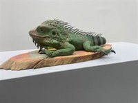 Ekoetxea Urdaibai acoge hasta septiembre la exposición de esculturas de Andoni Bastarrika 'Tierra viva'