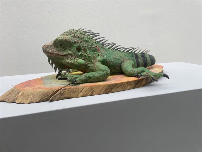 Muestra de Andoni Bastarrika 'Tierra viva' en Ekoetxea Urdaibai.