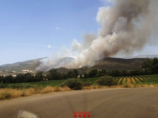 Incendio de vegetación en Artesa de Segre (Lleida), el 15 de junio de 2022.