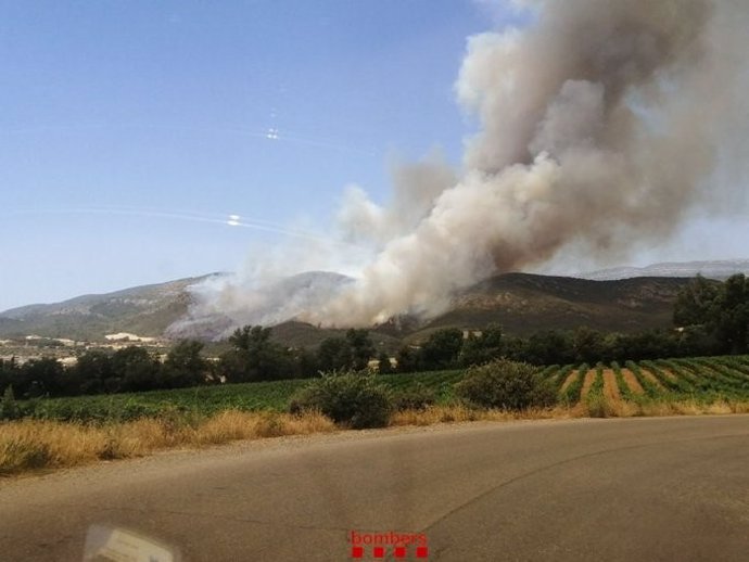 Incendio de vegetación en Artesa de Segre (Lleida), el 15 de junio de 2022.