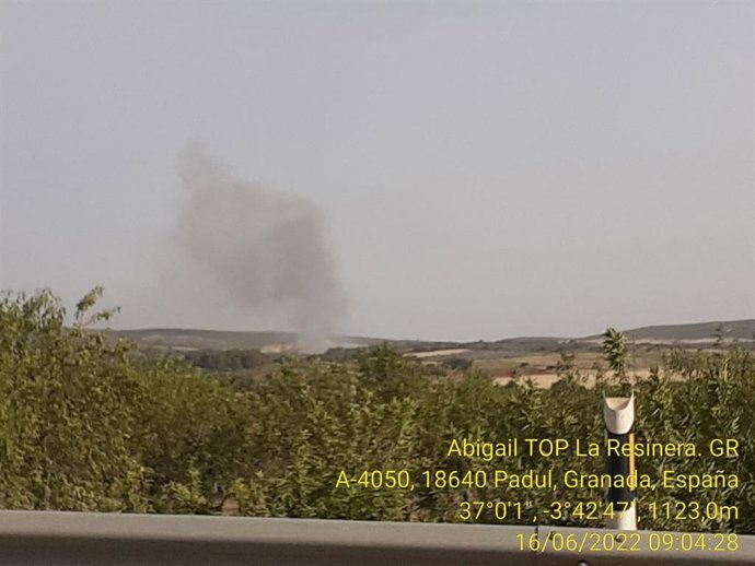 Incendio en el término de Padul, en Granada.