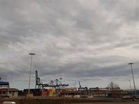 Euskadi exportó a Argelia productos por valor de 29,8 millones en el primer cuatrimestre e importó por 4,8 millones