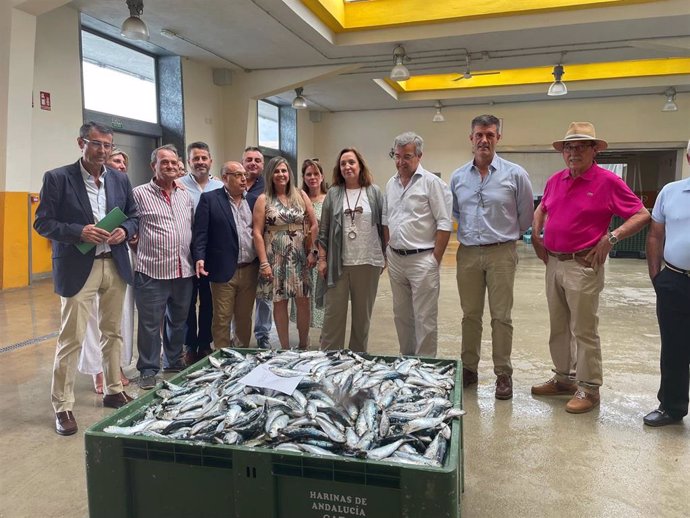 La Junta analiza con las cofradías de pescadores de Málaga la situación de la flota y el aumento de costes