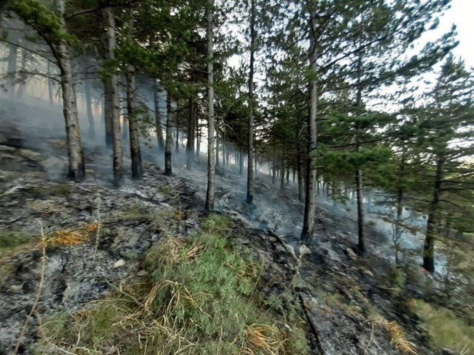 INCENDIO EN LAS LADERAS DE PEÑA ISASA