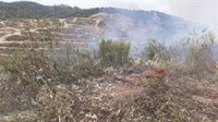 Estabilizado el incendio forestal del paraje Finca de Lima de Almonaster la Real (Huelva)