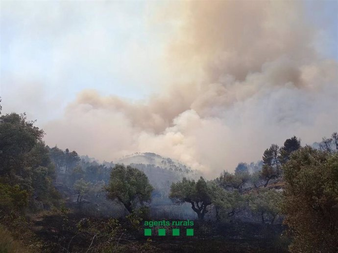 Incendio en Corbera d'Ebre (Tarragona), antes de ser estabilizado.