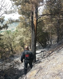 Localizado el punto de inicio del incendio en Leire, causado por un rayo