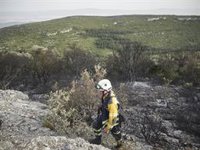 No se han registrado rebrotes durante la noche en los incendios activos desde el pasado martes