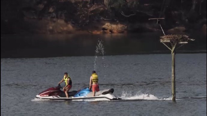 Motos de agua junto al nido de águilas pescadoras