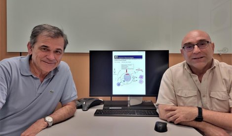 Investigación