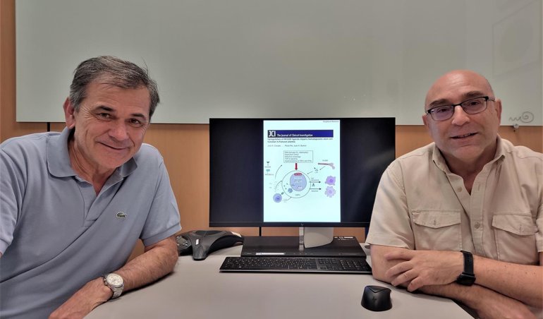 Investigación