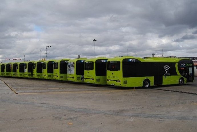 Autobuses urbanos de Badajoz aparcados.