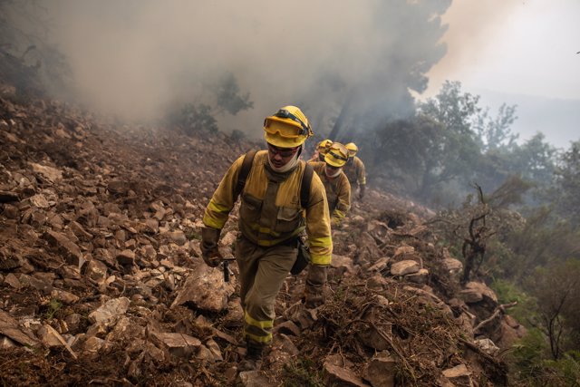 Bomberos trabajan en la extinción del incendio en la Sierra Culebra , a 16 de junio de 2022, en Zamora, Castilla y León, (España)