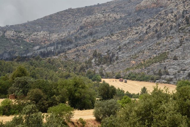 Bombers de la Generalitat als voltants d'una zona on s'ha declarat un incendi
