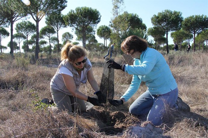 Proyecto Bosque Endesa Doñana