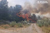 El Seprona investiga las causas del fuego de Nonaspe, originado en una parcela de frutales