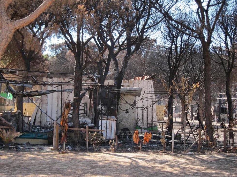 Archivo - Imagen del Camping Doñana tras el incendio de junio de 2017 en una imagen de archivo.