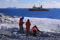 Deshielo en glaciares antárticos sin precedentes en 5.000 años