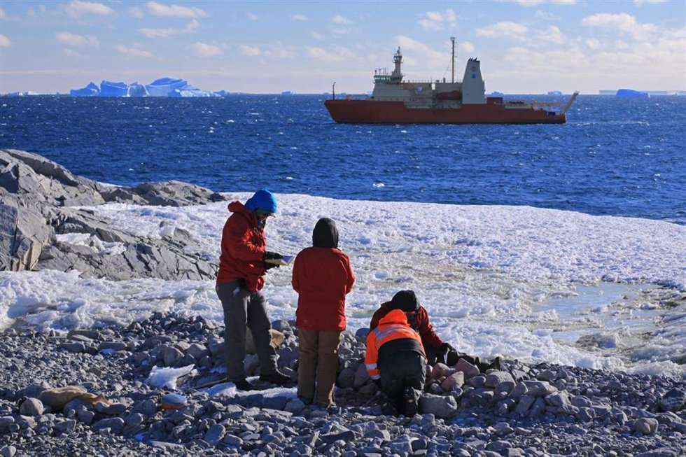 Científicos recolectando conchas de la playa en una de las islas Lindsey, Pine Island Bay. El buque de investigación estadounidense R/V Nathaniel B Palmer está al fondo.