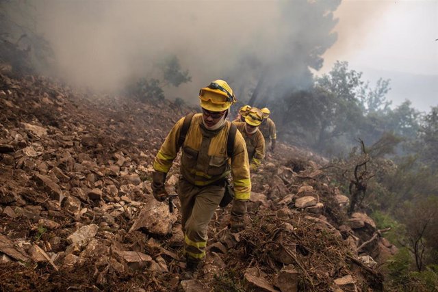 Efectivos de lucha contra incendios en el fuego en la Sierra de la Culebra.