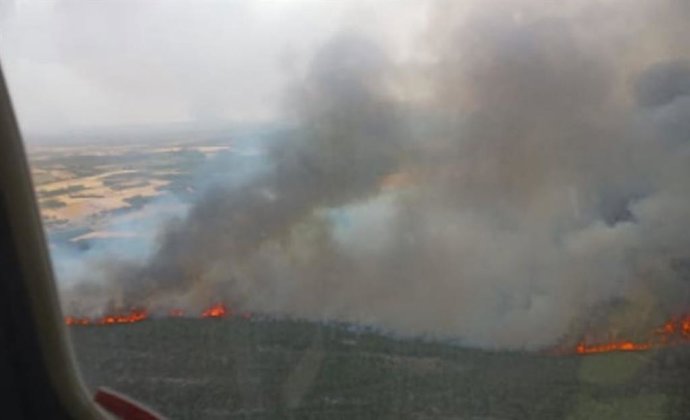Imagen del incendio declarado en Ayoó de Vidriales (Zamora).