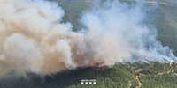 Los bomberos dan por estabilizado el incendio de Lladurs (Lleida)