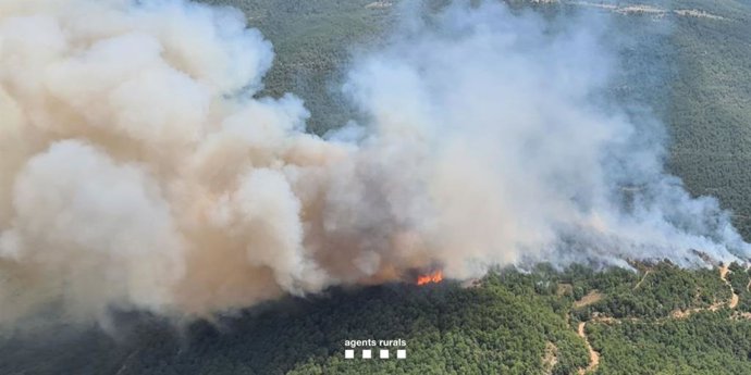 Incendi a Lladurs (Lleida).