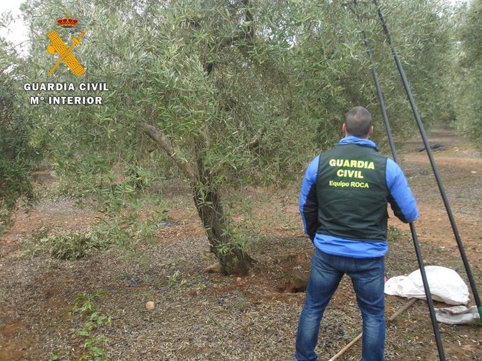 Archivo - Equipo Roca de la Guardia Civil, especializado en robos en fincas agrícolas.