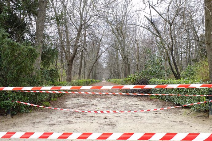 Archivo - Una zona cerrada aún al público en el parque de El Retiro.