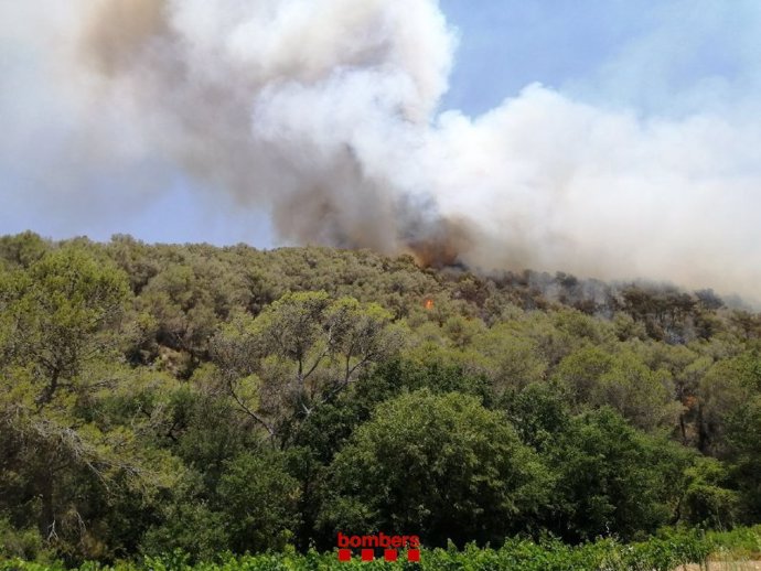 Incendio de vegetación forestal en Olivella (Barcelona)