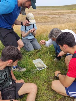 Varias pesonas participa en el muestreo de anfibios.